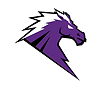Fulshear High School Football