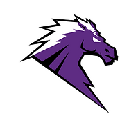 Fulshear High School Football